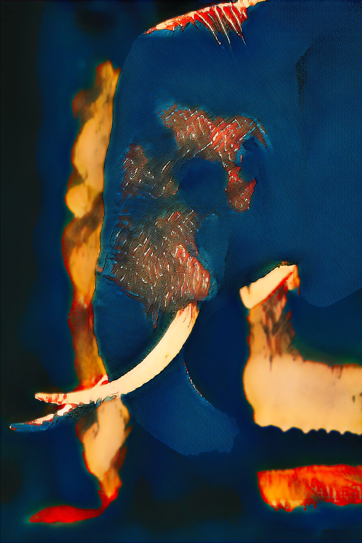 9081684